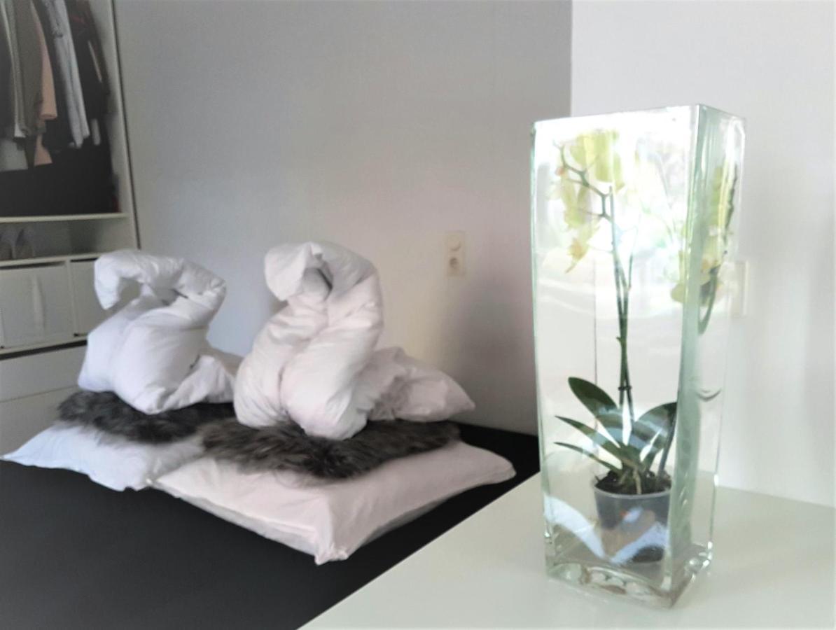 Get-your-flat: Cozy Grunderzeithaus In Kreuzviertel Apartment